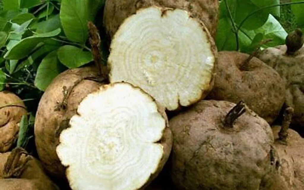 Kwao-krua