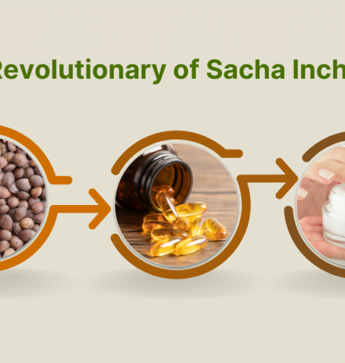 Revolutionary of Sacha Inchi
