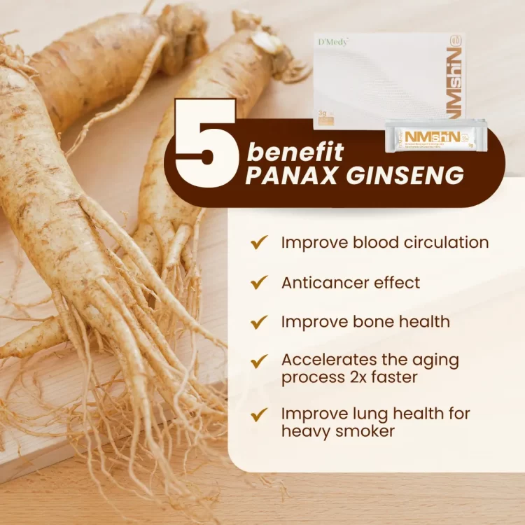5 benefit panax ginseng website 5 benefit panax ginseng website